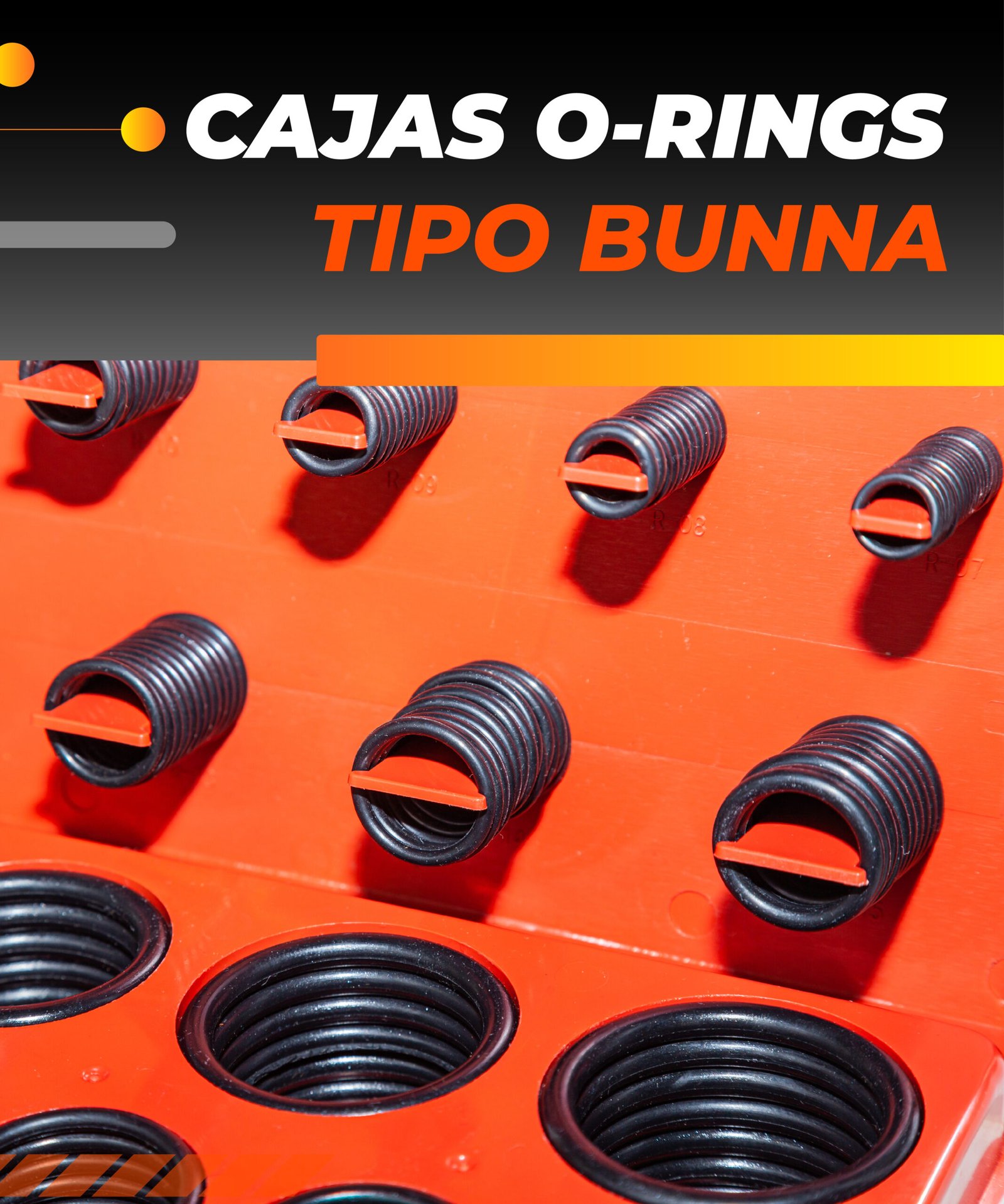 Cajas o-rings_Mesa de trabajo 1